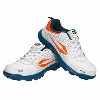 DSC Belter Cricket Shoes for Mens,
