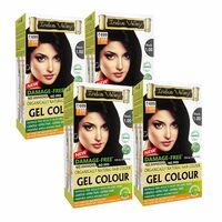 INDUS VALLEY Damage Free Natural Gel Hair Colour for Women | Ammonia & PPD Free Organic Hair Colour with 100% Grey Coverage, Long Lasting Conditioning Hair Color | Black 1.00 - Pack of 4