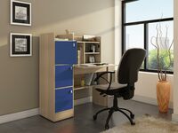 Spacewood Study Table | 3 Year Warranty | Coral|Study Desk with Book Shelf, Office Table, Study Table for Adults, Table with 4 Shelves and 3 Shutter Storage | Engineered Wood | Drift Wood WP