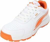 Puma Men Shoes Minimum 60% Discount