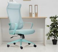 INNOWIN Flamingo Ergonomic Office Chair (Mint Green)| 3 Years Warranty
