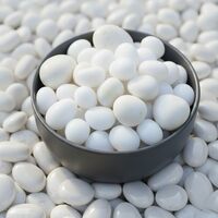 Schmick 1 Kg Polished White Pebbles Stones for Plant pots