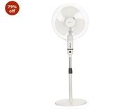 Pedestal fan 