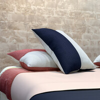 Raymond Home Microfibre Sleeping Pillow Pack of 2 Solid (Multicolor)