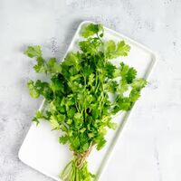 Coriander Leaves