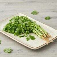 coriander 100gms for re1 ( location specific) 