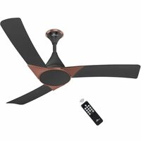 RR Signature Raptor 1200mm BLDC Designer Ceiling Fan | 350 RPM, 32W Low Power [VENETIAN GREY]