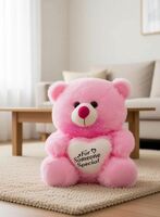  RBB HUB Soft toy for kids Someone Special Pink Teddy - 30 cm on Flipkart