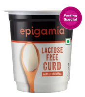 Instamart : Epigamia Lactose Free Curd 