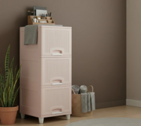 3 Compartments Plastic Drawers