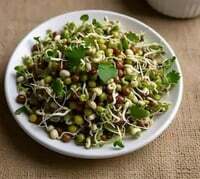 Mixed Sprouts 200 g & chana sprouts 200g @9 each  [location specific]