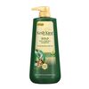 Kesh King Gold Anti Hairfall Shampoo, Reduces Hair Fall