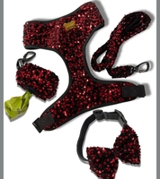 A+a Pets' Sequins Set of 5- Harness, Leash, Collar, Bow & Poo Bag Pouch for Dogs and Cats (M, Red)