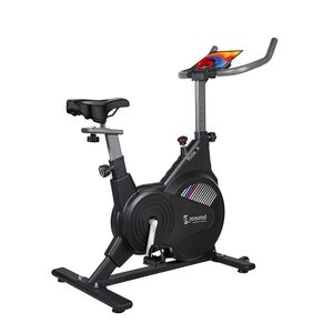 Cockatoo Ride-X 7Kg Fly Wheel Spin Bike, Exercise Cycle: 120 kg (Black)