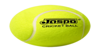 Tennis ball at just 39 !( location specific 400075)