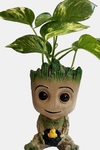Take a look at this Baby Groot Avengers Multipurpose action Figure 5.5 inch 