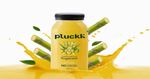 Pluckk Cold Pressed Extracted Sugarcane Juice (No Preservatives) [Location Specific]