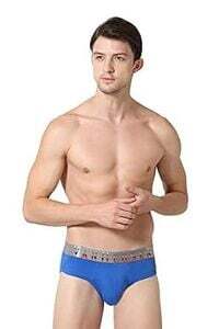 Van Heusen Men Briefs

