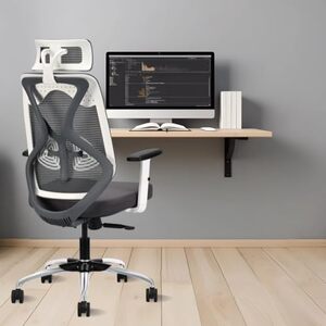 IAFA FURNITURE® Ergolux High Back Ergonomic Office & Study Chair | 3 Year Warranty | Adjustable Height, Tilt Lock, 2D Headrest, Adjustable Arms & Lumbar Support | Nylon Base | DIY (Grey)