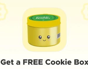 Blinkit - Free Cookies Box