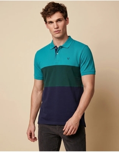 Allen solly Men Colorblock Polo Neck (M)