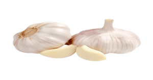 garlic