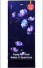 Haier 190 L 4 Star Direct Cool Single Door Refrigerator with Fast Ice Making, Easy Clean Back, Large Vegetable Box 