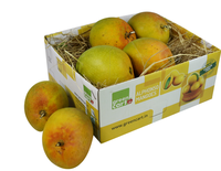 Buy Devgadh Standard Alphonso Mangoes 6 pc @199 Rs instead of 549 Rs, Only For Mumbai