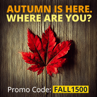 Groupon: Flat Rs.1500 off on 2499 on all Travel deals