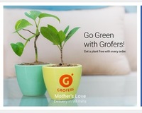 Go green with grofers ! Get a plant FREE on every order before 20th Nov