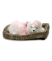 Perfect Petzzz Prima Dona Poodle, Multi Color@1421 MRP2999(53%off)