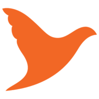 Get Rs.100 Bonus on every new signup 