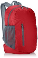 AmazonBasics Ultra thin Foldable Day Pack, Red, 35L