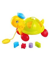 Little's Pull Along Shape Sorting Tortoise, Multi Color