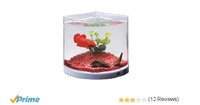 Fish tank  @164
