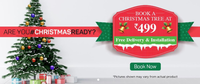 Housejoy Christmas Tree + decorations+ Installation @499 (100% Cashback for new users)