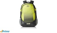 Delsey Capetown 25 Ltrs Yellow Grey Backpack (00300360002)