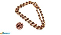 [84% Off] Gold Plated Rudraksh Nacklace +Free Panch Mukhi Rudraksh in pack @Rs. 159 