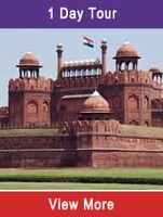 Delhi Sightseeing - HoHo Bus service - Buy 1 Get 1 Free