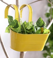 Pepperfry - What the Fry Deals - 5th July