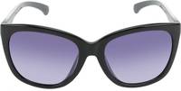 Calvin Klein Sunglasses Min 70% Off Rs. 1813 