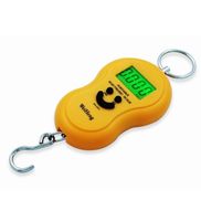 Pepperfry What The Fry Deals 2nd September : 50 Kg Luggage Hanging Scale at Rs 109, Set of 6 Amsterdam Tumblers at Rs 120