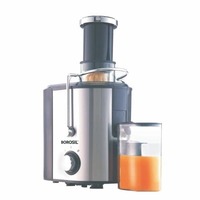 Borosil Primus BJU50SSB11 500-Watt Juicer (Silver) 