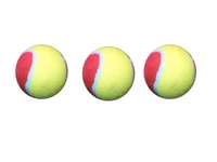 Loot- Cricket Tennis Ball (set of 03 pcs) at Rs49  