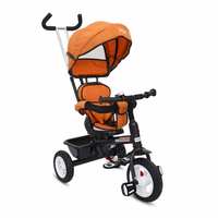 [OOS]  Baby Tricycle@ 499