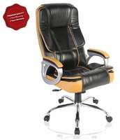 Green Soul Titan High-Back Ergonomically Designed Office Chair (Black-Tan)

