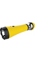 Pigeon LED Torch Sunny