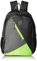  Gear 28 Ltrs Grey and Green Casual Backpack (BKPBLOCKY0403) - Apply 10% coupon