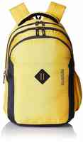 American Tourister Backpack & Suitcase at 70% Off + Upto 10% Extra Off Coupon || Upto 79% Off