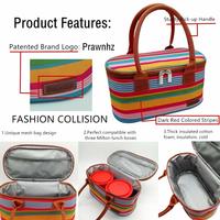 Prawnhz Lunch Bags Stylish Stripe Insulated Thermal Tote Tiffin Bag for Office Women/Kids to School,Exclud Lunch Boxes